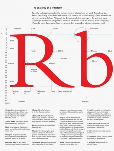 __ #typography