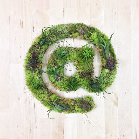 "@" Garden #sculpture #airplants #hashtaggarden #gifts #succulents #atsymbol #art #artweheart #moss #green