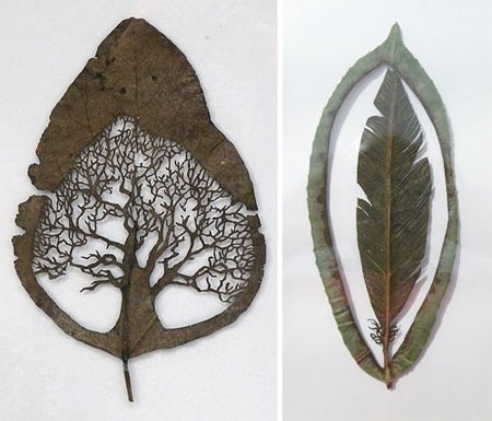 Leaf Cut Art by Lorenzo Durán #tree #feather #nature #art #leafs