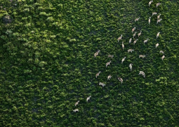 South Africa From Above: Abstract and Minimalist Aerial Photography by Zack Seckler