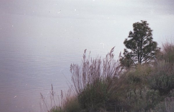 Summer #photography #summer #film #lake #shotbythebradford