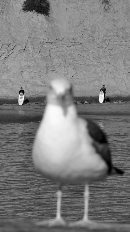 _CA+ __california ___waiting PHOTOGRAPHIE © [ catrin mackowski ]