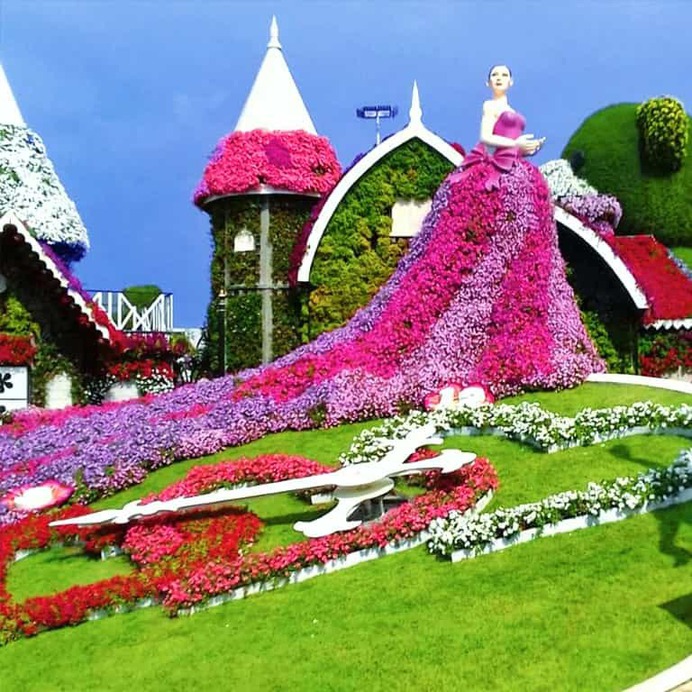 Floral Diva became part of the Dubai Miracle Garden in its Season 8 which was started in 2019 and ended 2020. Previously a huge peacock was on display at the same place of the garden. However; this latest addition of the floral diva brings more buzz and life to the clock avenue of the Dubai Miracle Garden.
