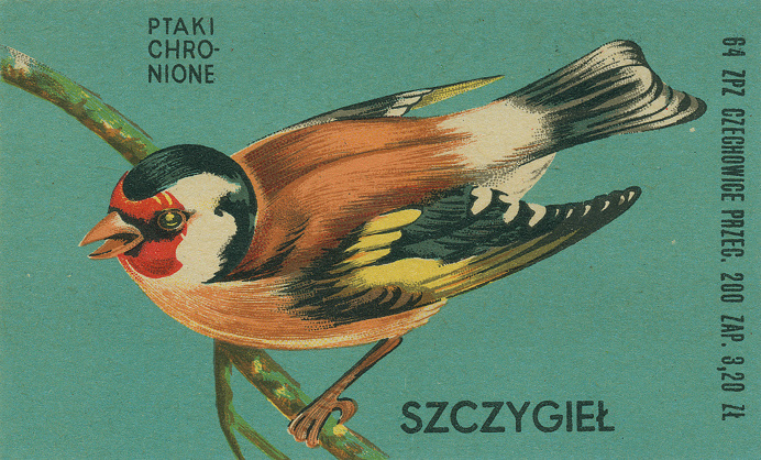 Polish matchbox label
