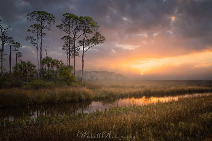 Incredible Landscape Photography in Florida by Jeff Waldorff