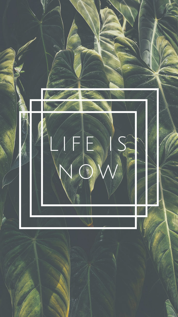 iPhone 7 Wallpapers to Celebrate Life