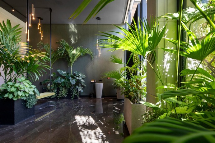 Gardenia Apartments / Studio Saxe
