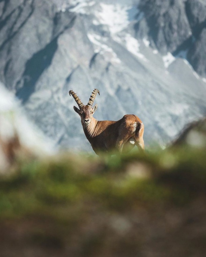 Absolutely Stunning Landscapes of Chamonix Mountains by Morgan Bodet