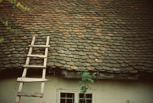 All sizes | Untitled | Flickr - Photo Sharing! #roof