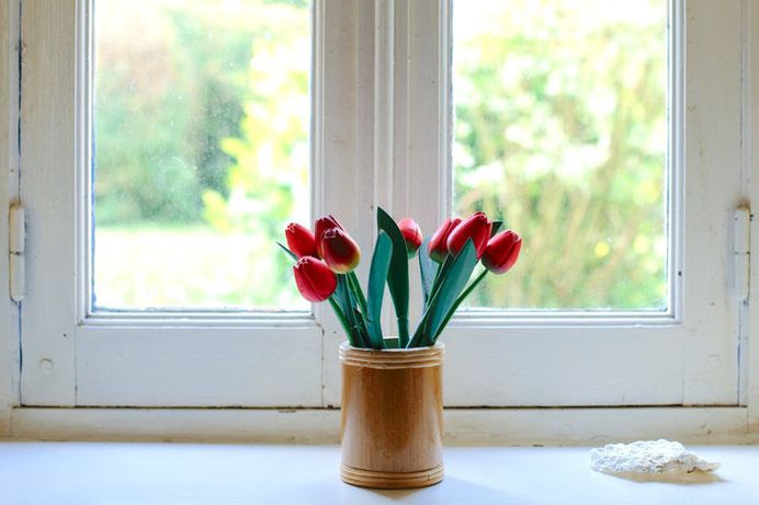 Tulips photo by Steffen Trommer (@steffen_trommer_fotografie) on Unsplash