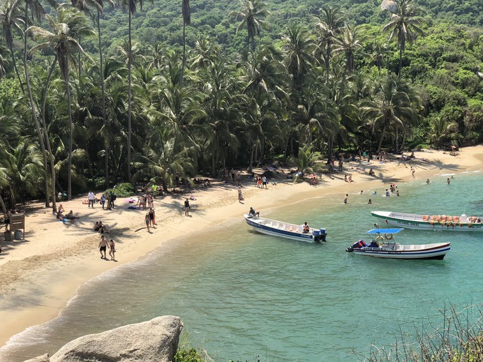 three boats near seashore surrounded by palm trees