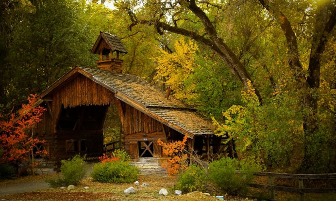 Forest Landscape Home Wallpaper Hd For Pc – WallpapersBae