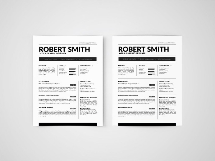 Free Standard Resume Template Template in Word Format