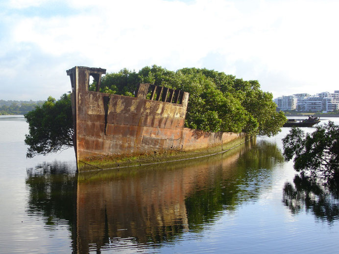 nature-reclaiming-abandoned-places-1