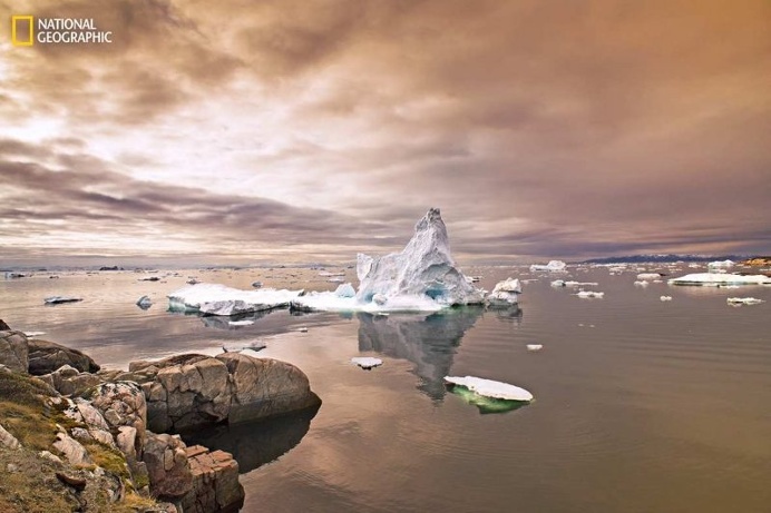 Spectacular Entries From the National Geographic Nature Photographer of the Year 2016