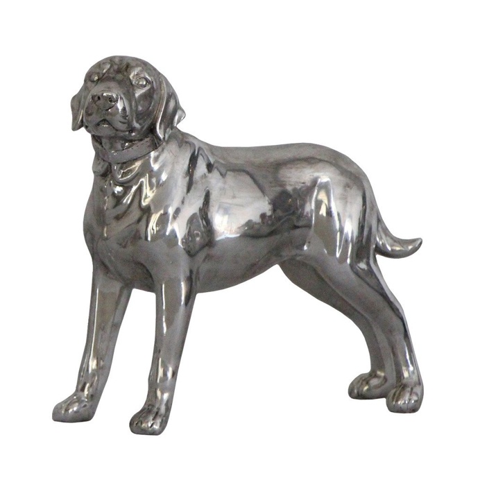 Labrador Dog Facing Left