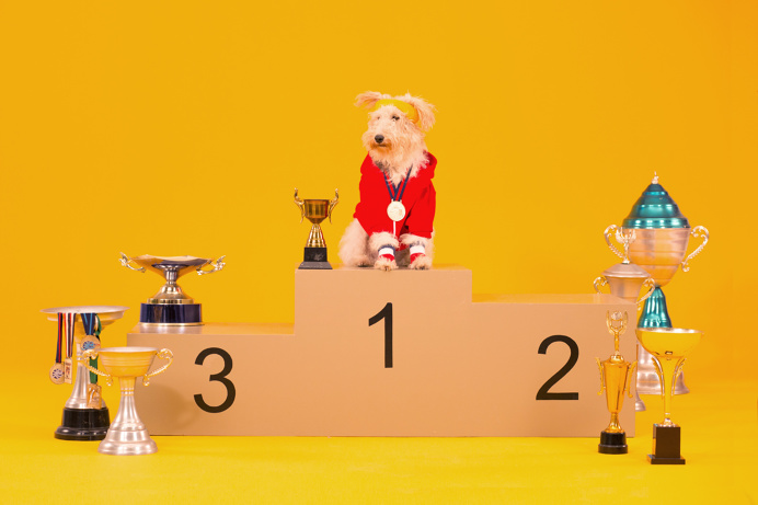 LG Smart Care - Humans! #stage #dogs #fantasize #yellow