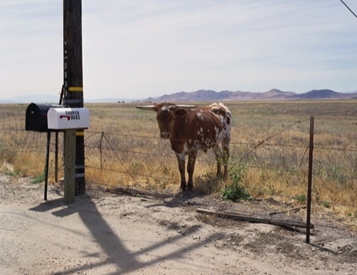 Ed Panar « PICDIT #photo #photography #animal #series