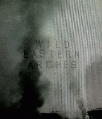 Wild Eastern Arches - Jack Walsh #wild #eastern #arches #jack #walsh
