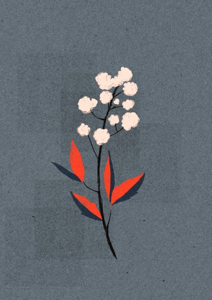#illustration
