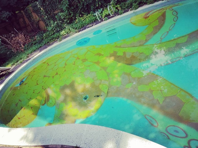 Shannon's Pool...Doesn't do it justice