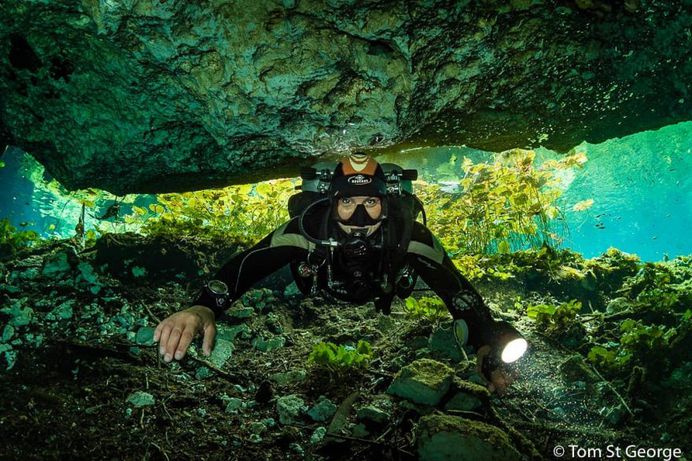 Incredible Underwater Photography by Tom St George