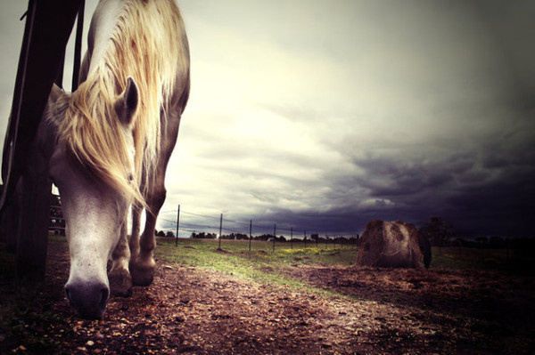 Photography by Anthony Presley #inspration #photography #art