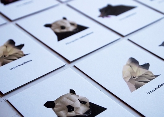 Great Bears | rorymuldoon.com #facets #bear #illustration #geometry