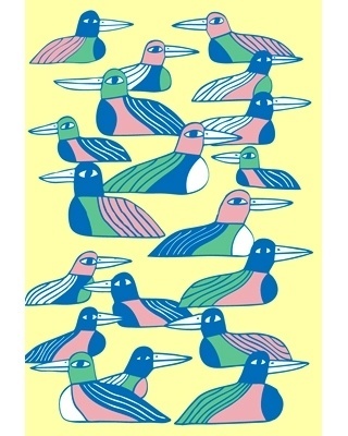 Marcus Oakley #birds #illustration