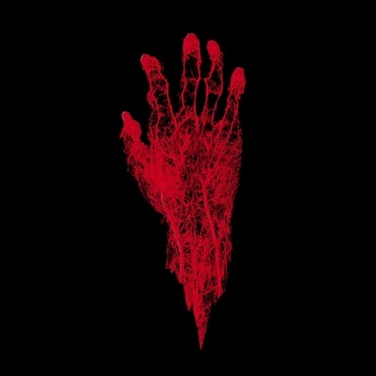 P H I L I S T I N E | D S G N #veins #hand #art