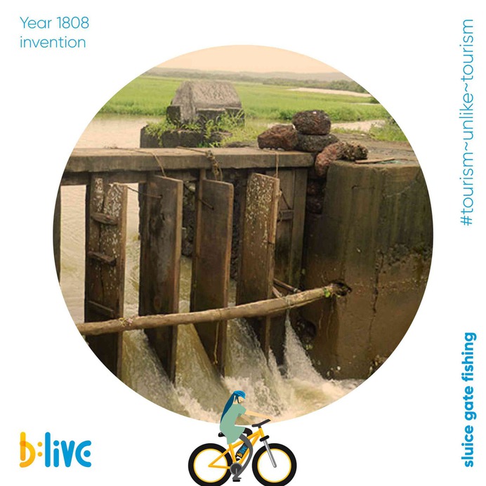 Did you know Goa uses its sluice gates for a special purpose. That's true, these gates are opened at high tide to let in water from the river, and fish, and then shut to allow them to spawn and grow. The sluice is opened to drain the water, but the fish swim into bag nets placed at the gate. Our captains can tell you a lot more about sluice gates and other such lesser-known fun facts about Goa. Book your tour today! Call or WhatsApp at 📞+91 86696 00373 or visit us at blive.co.in #letsblive #funoverfuel #worldtourismday #tourismunliketourism #goabeyondbeaches #sluicegates #travel #instatravel #instagoa #wanderlust #fun #ev #eco #tours #monday #mondayblues #ecotourism #ebikes #discovery #goavibes 🌴 #goatourism #goaindiatravel GOA TOURISM Goa Tourism Department
