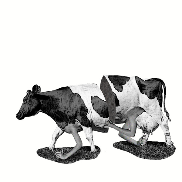 Milk? #modern #surrealism #vintage #art #collage