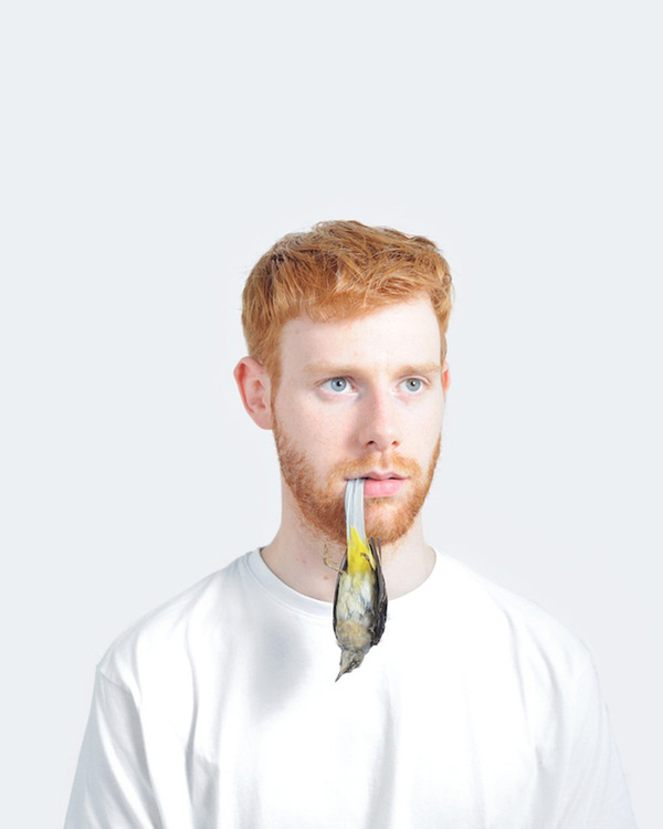 Rowan Corkill: Portrait of a Species #photography #art