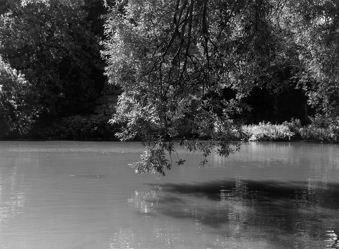 "Belleville" by Photographer Thomas Boivin