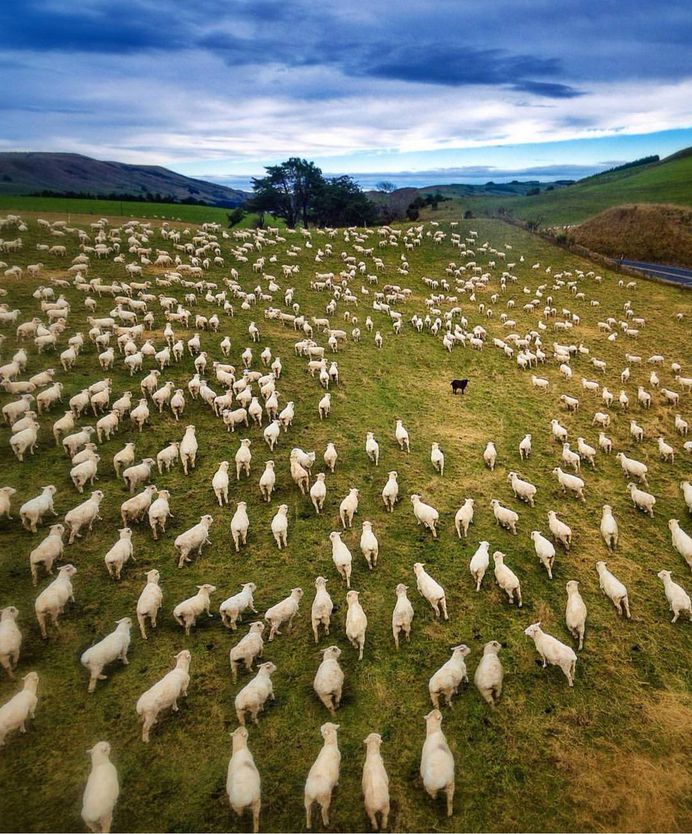 Nico Babot Captures the Beauty of New Zealand Through Wonderful Landscapes