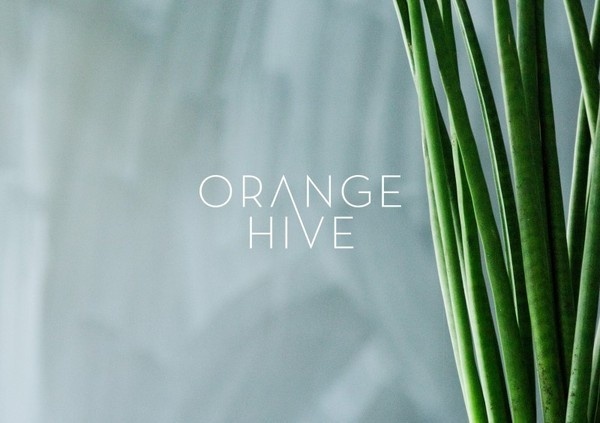 Orange Hive Identity Minimalissimo #hive #orange