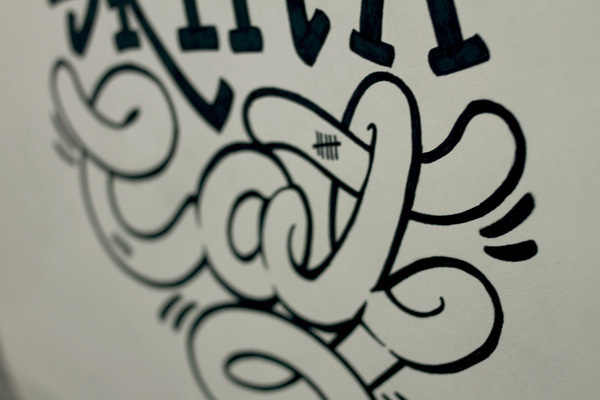 Skin A Cat Me and Gonzo #lettering #kin #a #meandgonzo #cat #poster #rad #sharpie #typography