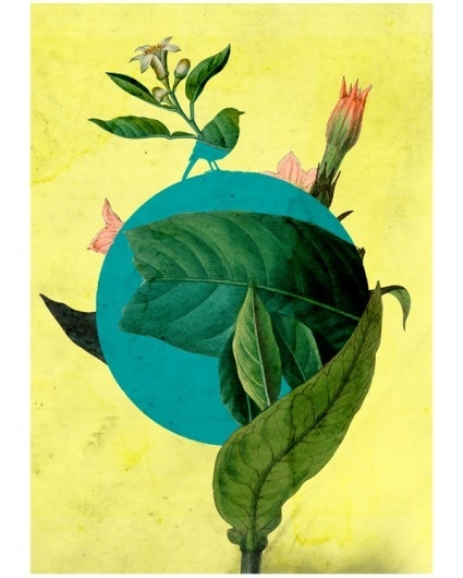 The Hyspanic Gentleman » Blog Archive » Wax Jambu #birds #collage #floral