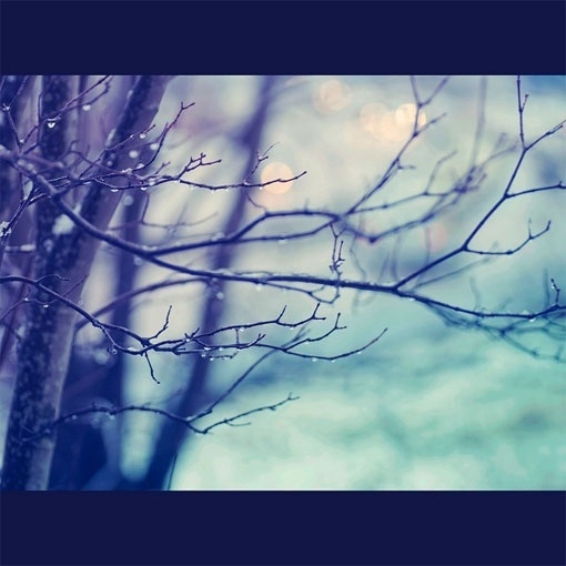 design work life » cataloging inspiration daily #photography