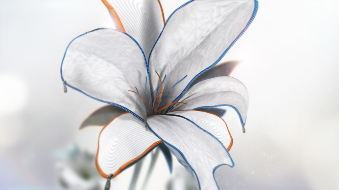 JAMES LEVY DESIGN