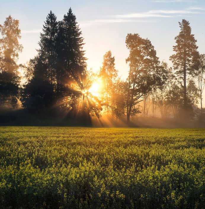 Majestic Natural Landscapes in Sweden by Christian Lindsten
