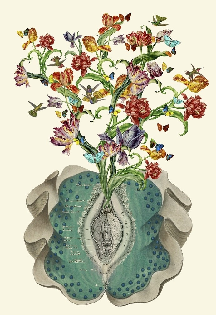 "Anatomy of a Female Orgasm" collage art by bedelgeuse. Created for the 30th annual exotic art show. prints now available: society6.com/bede #bedelgeuse #collage #anatomy #flowers