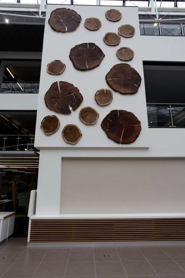 CJWHO ™ (Aged Oak Tree Rings Symbolize Life and Inevitable...) #design #creative #dead #tree #life #symbols #rings #oak