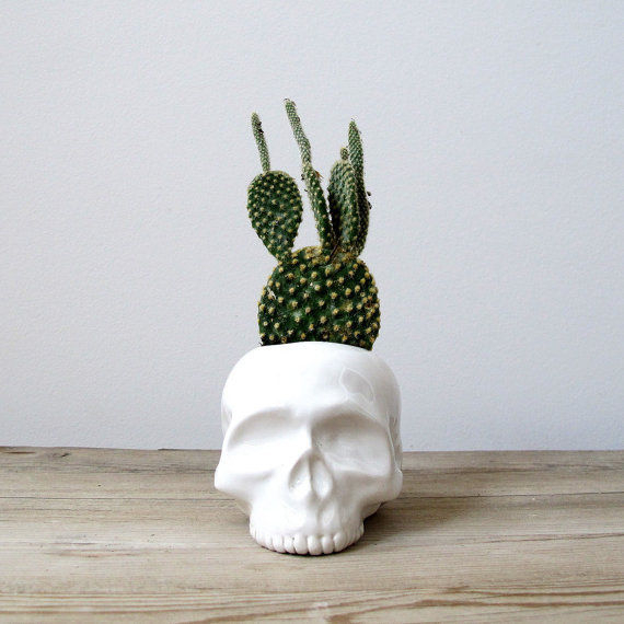 Ceramic Skull Planter #design #planter #pot #product #skull #cactus #plant