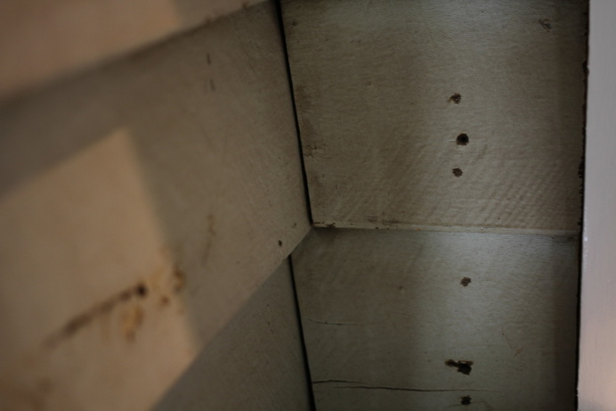 Wood, Ella Clark, taken on 1st September 2017, http://suitcasedreaming.tumblr.com