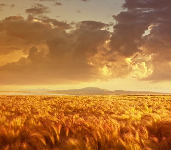 Julia Starr #inspiration #photography #landscape