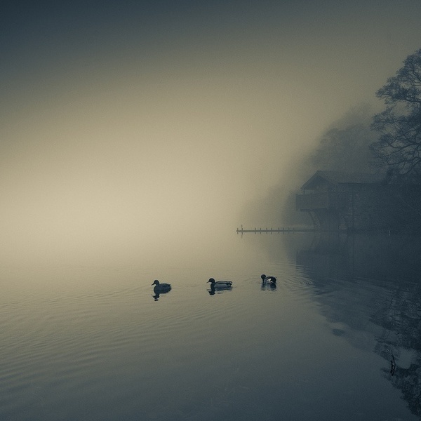 Mark Littlejohn #inspiration #photography #landscape