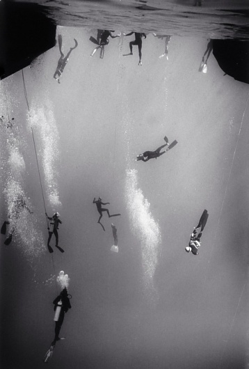 URSA MAJOR #scuba #water #dive #under