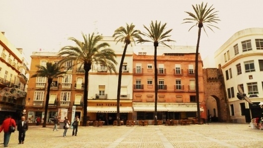 tumblr_m0vo2vu64W1qmk2dko1_1280.jpg (1280×721) #spain #tree #size #photography #nature