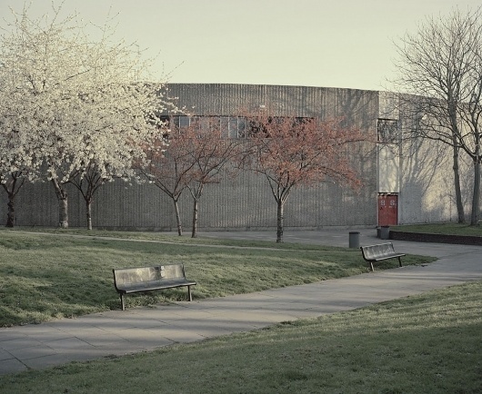 Sprung — Tom Hull — Photography #tom #hull #photography #sprung #spring